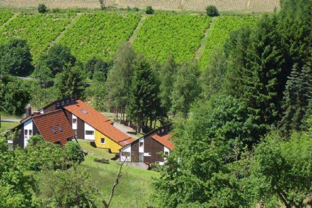 Typ Murmeltier Schmallenberg Exterior foto