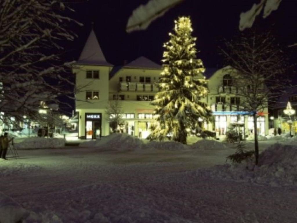Typ Murmeltier Schmallenberg Exterior foto